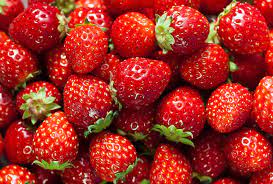 Strawberry Farming